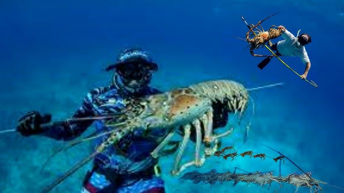 Lobster Hunting (2 Hours) - Timeless Tours Maldives