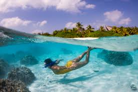 House Reef Snorkeling - Timeless Tours Maldives